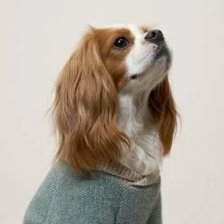 Howlpot Wear Shawl Blue Green Sweater