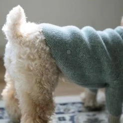 Howlpot Wear Shawl Blue Green Sweater