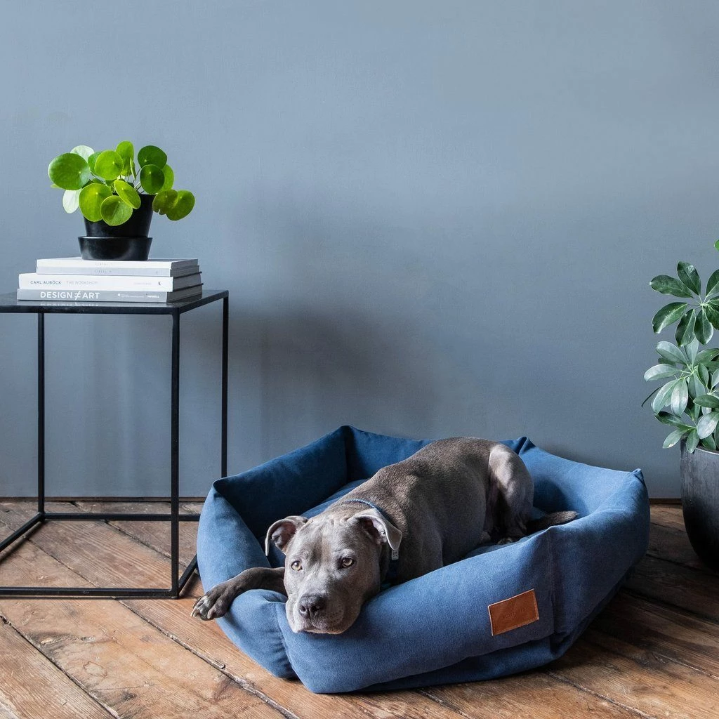 Discount ๐คฉ Velvet Hippo Canvas Hex Cushion - Ocean ๐ 10 Velvet Hippo Canvas Hex Cushion - Ocean