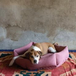 Velvet Hippo Canvas Hex Cushion - Sunset Live