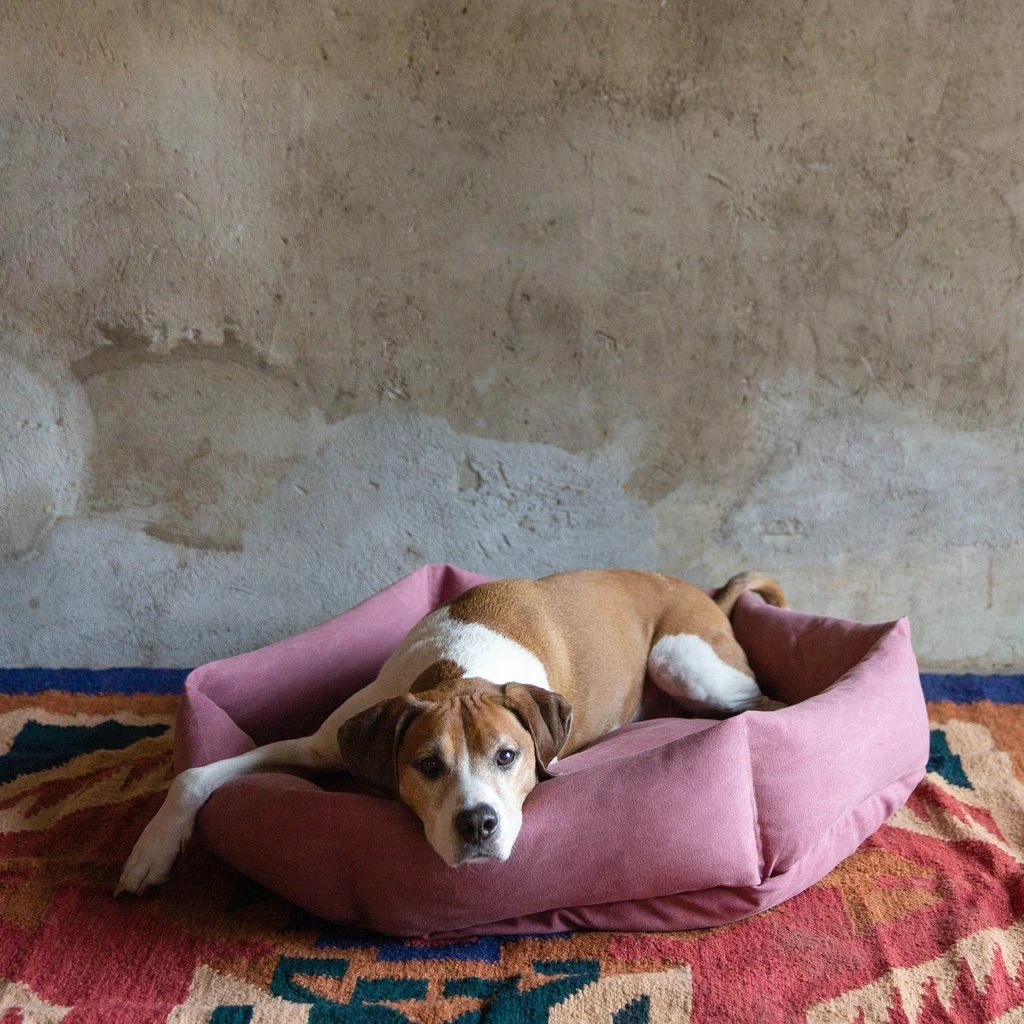 Wholesale π₯ Velvet Hippo Canvas Hex Cushion - Sunset Live 𧨠4 Velvet Hippo Canvas Hex Cushion - Sunset Live