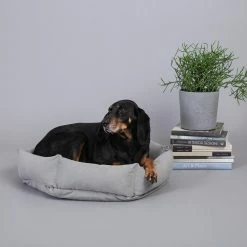 Velvet Hippo Live Canvas Hex Cushion - Stone