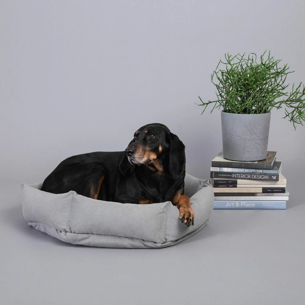 Hot Sale ๐ Velvet Hippo Live Canvas Hex Cushion - Stone ๐ฅ 3 Velvet Hippo Live Canvas Hex Cushion - Stone