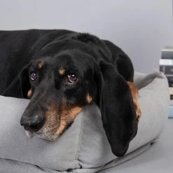 Velvet Hippo Live Canvas Hex Cushion - Stone