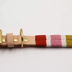 Coupon π Gianni Cooling The Origin Daisy Collar π 9 Gianni Cooling The Origin Daisy Collar