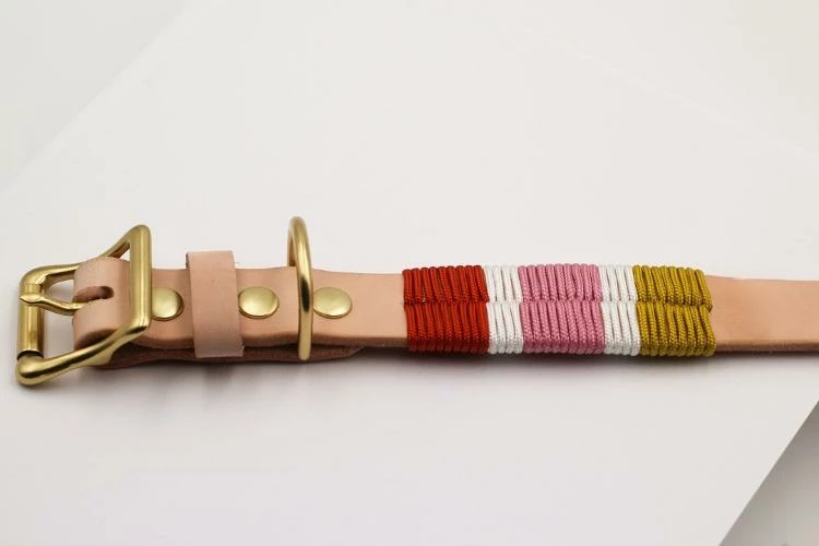 Coupon π Gianni Cooling The Origin Daisy Collar π 6 Gianni Cooling The Origin Daisy Collar