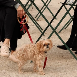 Shaya Clean Up Purse Ruby Walk