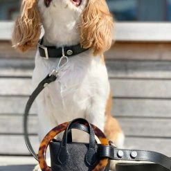 Top 10 π€© Shaya Walk Clean Up Purse Black π 8 Shaya Walk Clean Up Purse Black