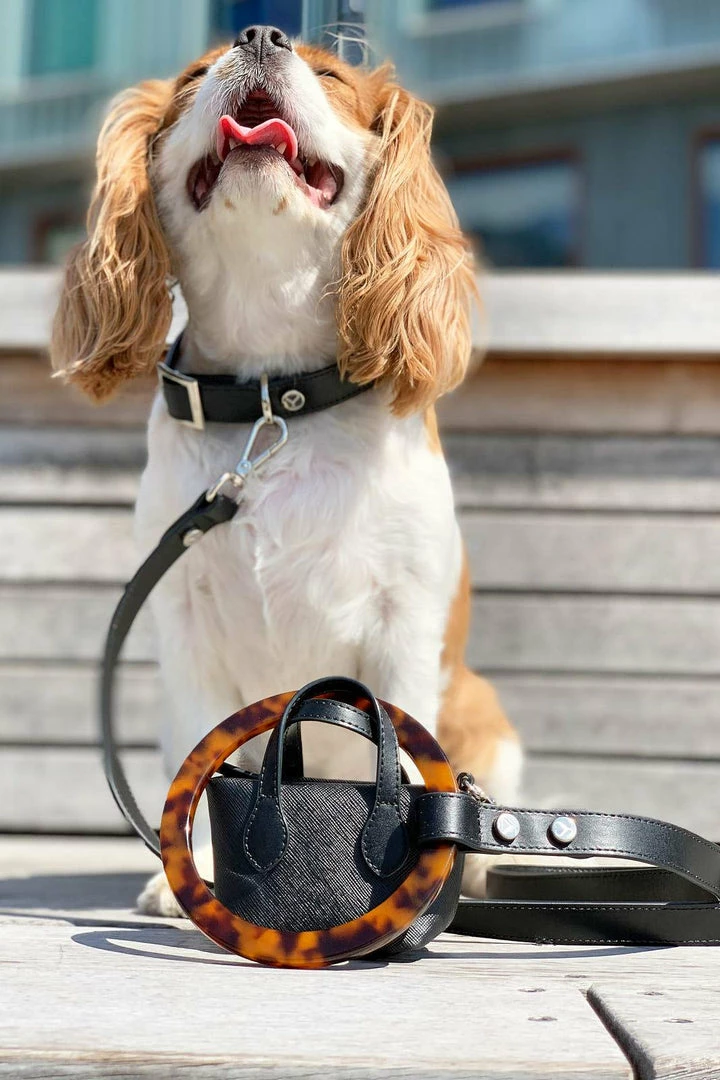 Top 10 π€© Shaya Walk Clean Up Purse Black π 5 Shaya Walk Clean Up Purse Black