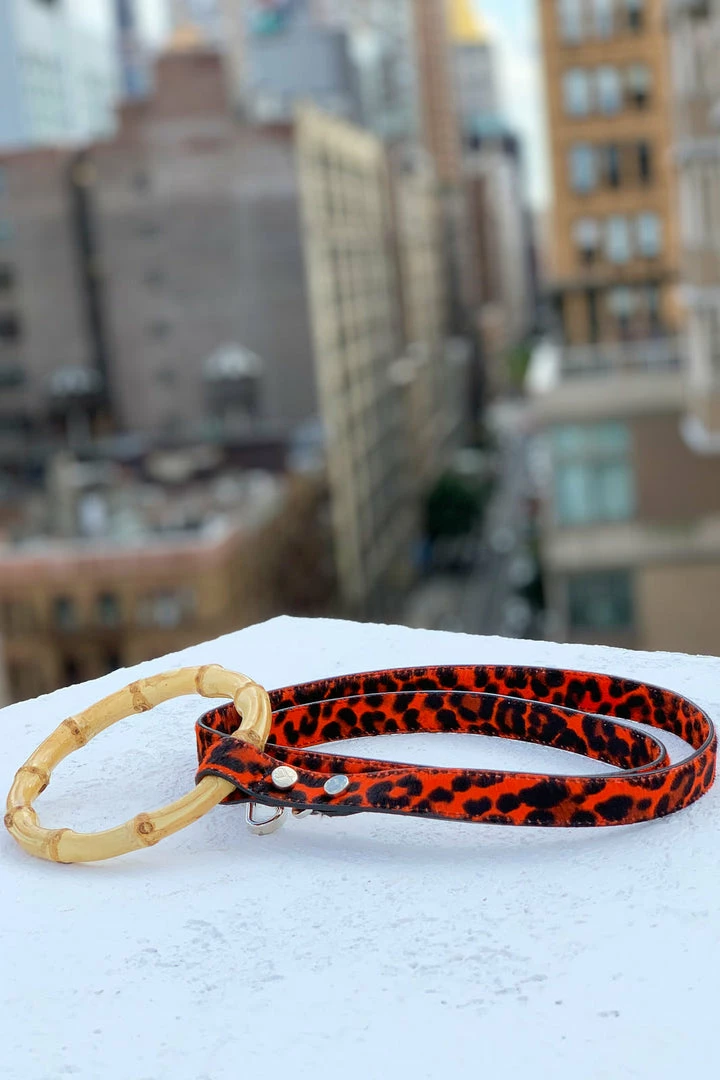 Best deal 😍 Shaya Sasha Leash Red Leopard Walk 🧨 5 Shaya Sasha Leash Red Leopard Walk
