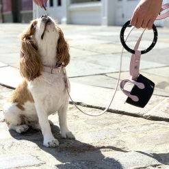 Shaya Walk Susan Leash Blush