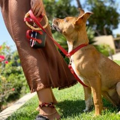 Shaya Sasha Leash Red