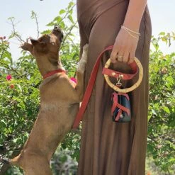 Shaya Clean Up Purse Ruby Walk