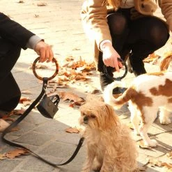 Deals โ Shaya Susan Leash Black ๐ 11 Shaya Susan Leash Black