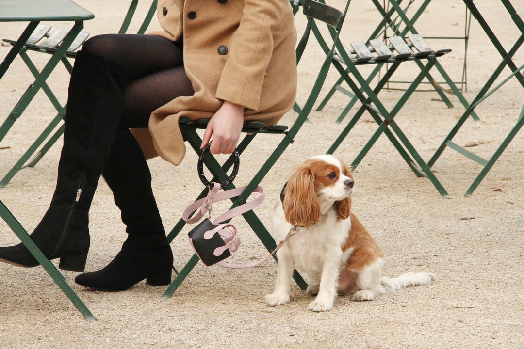 Cheapest β€οΈ Shaya Clean Up Purse Blush Walk π 6 Shaya Clean Up Purse Blush Walk