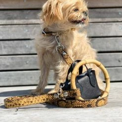 Shaya Sasha Leash Embossed Yellow