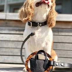 Deals โ Shaya Susan Leash Black ๐ 10 Shaya Susan Leash Black