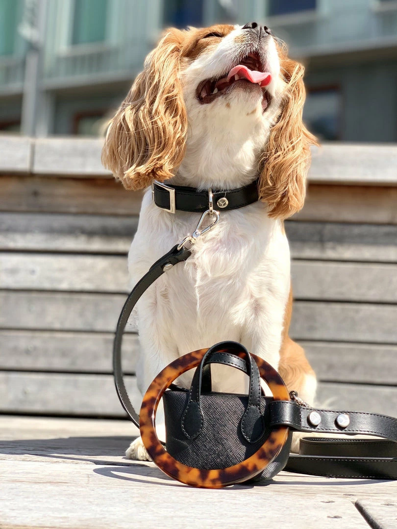 Deals โ Shaya Susan Leash Black ๐ 6 Shaya Susan Leash Black