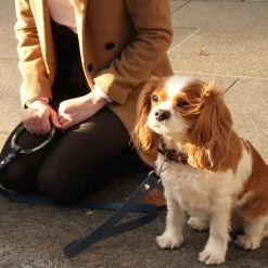 Shaya Susan Leash Cobalt