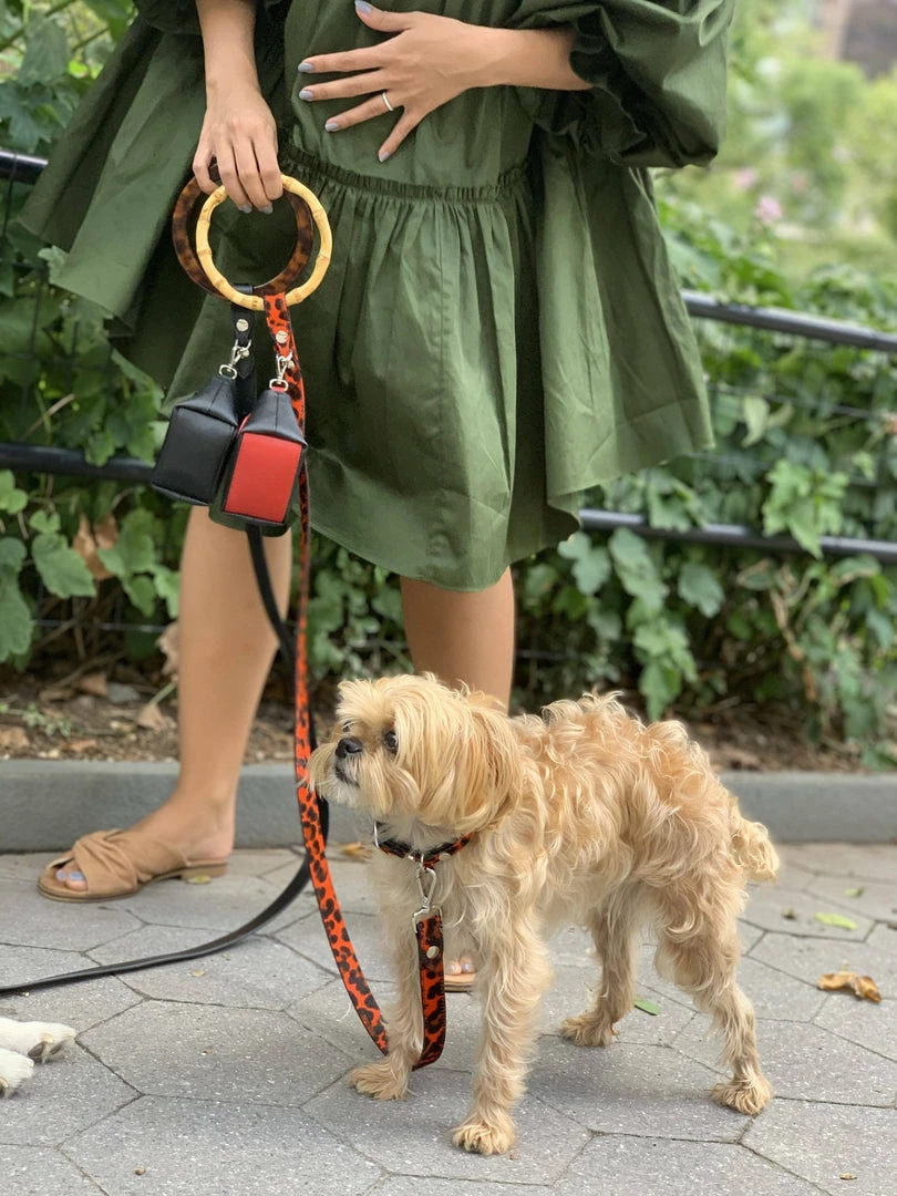 Best deal 😍 Shaya Sasha Leash Red Leopard Walk 🧨 6 Shaya Sasha Leash Red Leopard Walk