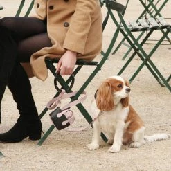 Shaya Walk Susan Leash Blush