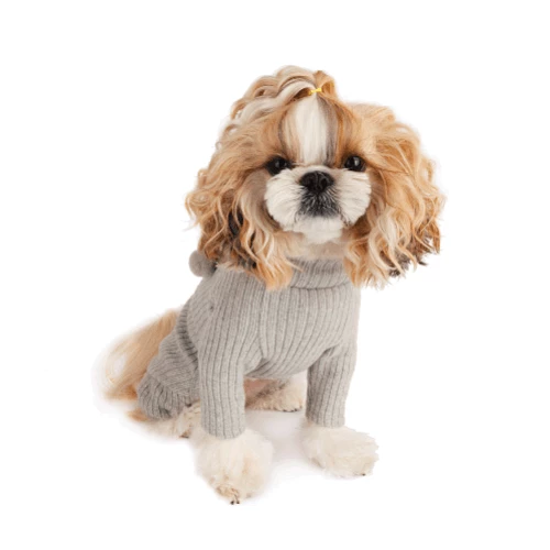 Brand new ๐งจ Little Collin Pom Pom Onesie โจ 10 Little Collin Pom Pom Onesie