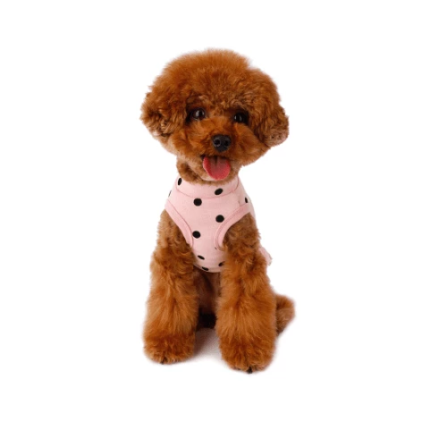 Flash Sale 🔔 Little Collin Flocking Dot 👗 Dress Pink Wear 🎉 5 Little Collin Flocking Dot Dress Pink Wear