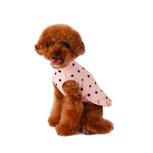 Flash Sale 🔔 Little Collin Flocking Dot 👗 Dress Pink Wear 🎉 4 Little Collin Flocking Dot Dress Pink Wear