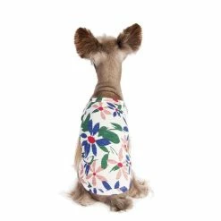 Little Collin Wear Flower Halter Neck Top