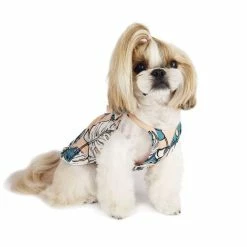 Little Collin Tropical Summer Dress Peach Wear