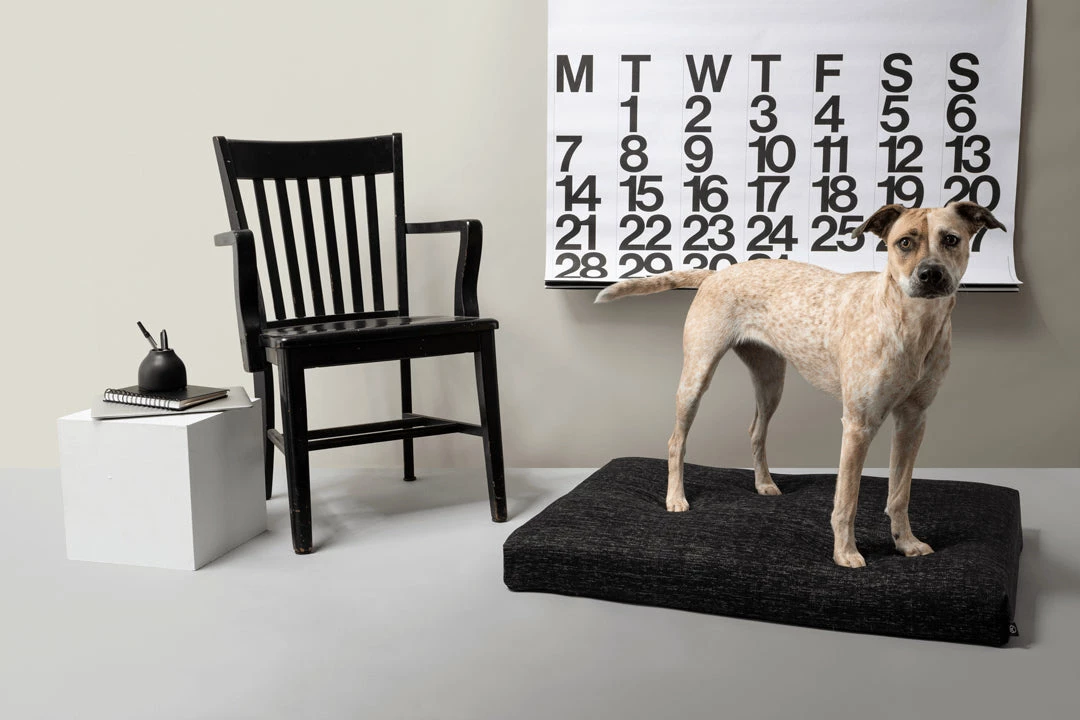 Buy ⭐ LAY LO Modern Black 🦮 Dog Bed Or Bed Cover 🧨 4 LAY LO Modern Black Dog Bed Or Bed Cover