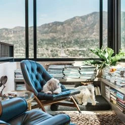 Buy ⭐ LAY LO Modern Black 🦮 Dog Bed Or Bed Cover 🧨 11 LAY LO Modern Black Dog Bed Or Bed Cover