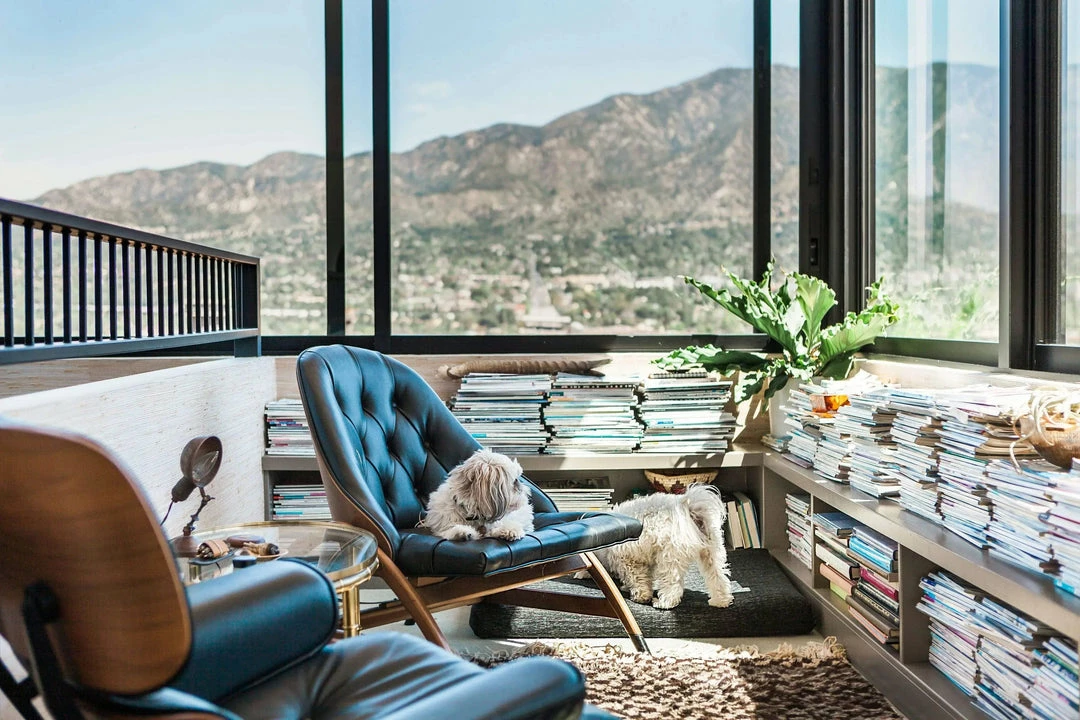 Buy ⭐ LAY LO Modern Black 🦮 Dog Bed Or Bed Cover 🧨 7 LAY LO Modern Black Dog Bed Or Bed Cover