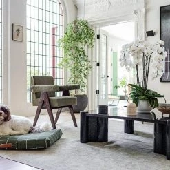 LAY LO Live Hunter Green Grid Dog Bed Or Bed Cover