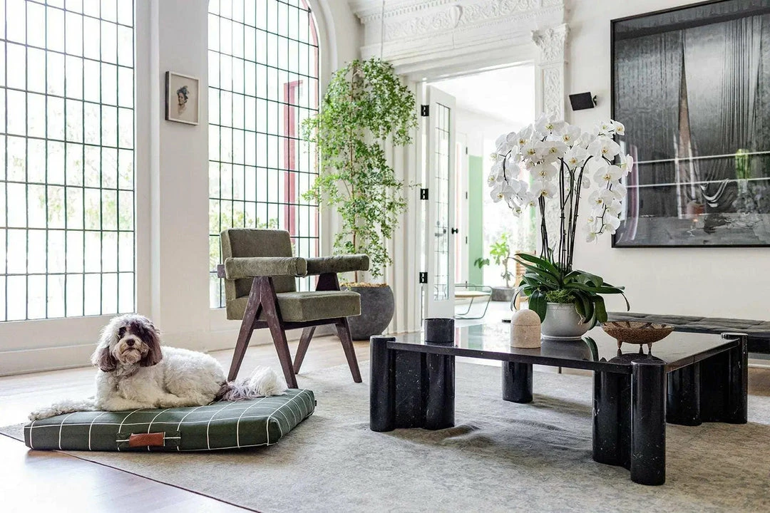 Deals 🧨 LAY LO Live Hunter Green Grid 🦮 Dog Bed Or Bed Cover 🤩 4 LAY LO Live Hunter Green Grid Dog Bed Or Bed Cover