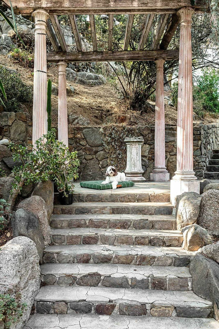 Deals 🧨 LAY LO Live Hunter Green Grid 🦮 Dog Bed Or Bed Cover 🤩 8 LAY LO Live Hunter Green Grid Dog Bed Or Bed Cover