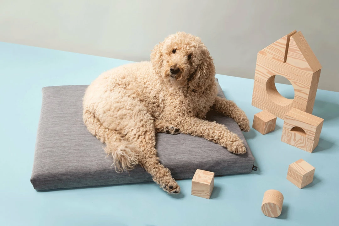 Best Sale โจ LAY LO Live Modern Grey ๐ฆฎ Dog Bed Or Bed Cover ๐ 4 LAY LO Live Modern Grey Dog Bed Or Bed Cover