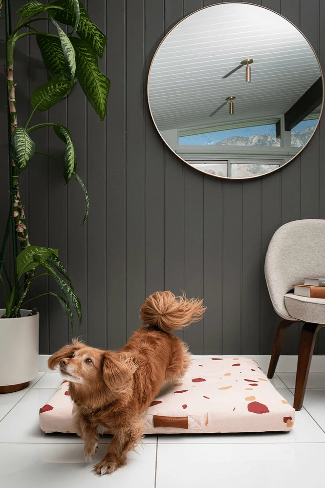 Coupon โ๏ธ LAY LO Pink Terrazzo Mid-Century Modern ๐ฆฎ Dog Bed Or Bed Cover โ๏ธ 8 LAY LO Pink Terrazzo Mid-Century Modern Dog Bed Or Bed Cover