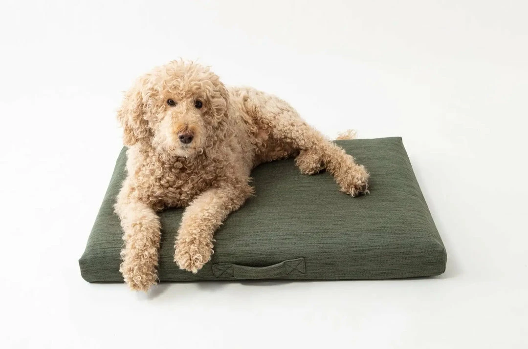 Cheap ✨ LAY LO Live Modern Sage 🐶 Dog Bed Or Bed Cover 🥰 8 LAY LO Live Modern Sage Dog Bed Or Bed Cover