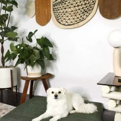 LAY LO Live Modern Sage Dog Bed Or Bed Cover