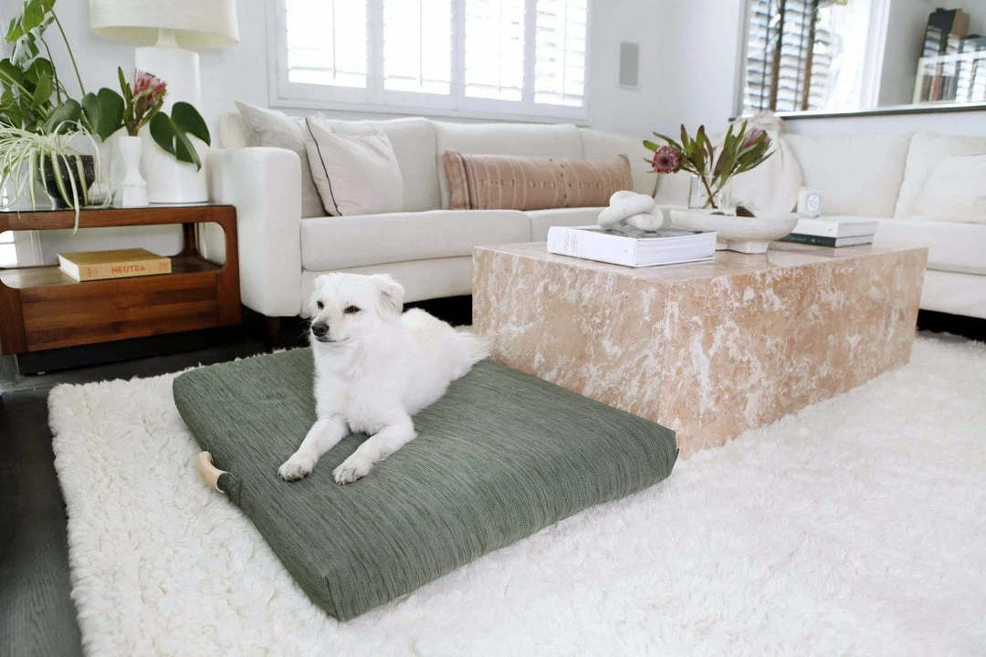 Cheap ✨ LAY LO Live Modern Sage 🐶 Dog Bed Or Bed Cover 🥰 7 LAY LO Live Modern Sage Dog Bed Or Bed Cover