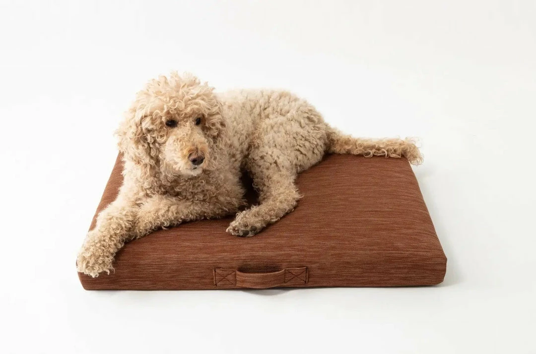 Top 10 ✨ LAY LO Modern Terra 🦮 Dog Bed Or Bed Cover Live ⭐ 7 LAY LO Modern Terra Dog Bed Or Bed Cover Live