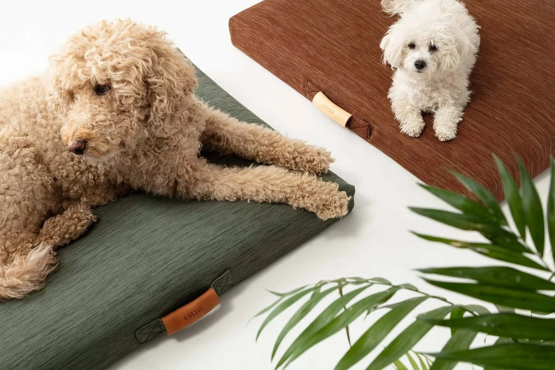 Top 10 ✨ LAY LO Modern Terra 🦮 Dog Bed Or Bed Cover Live ⭐ 4 LAY LO Modern Terra Dog Bed Or Bed Cover Live