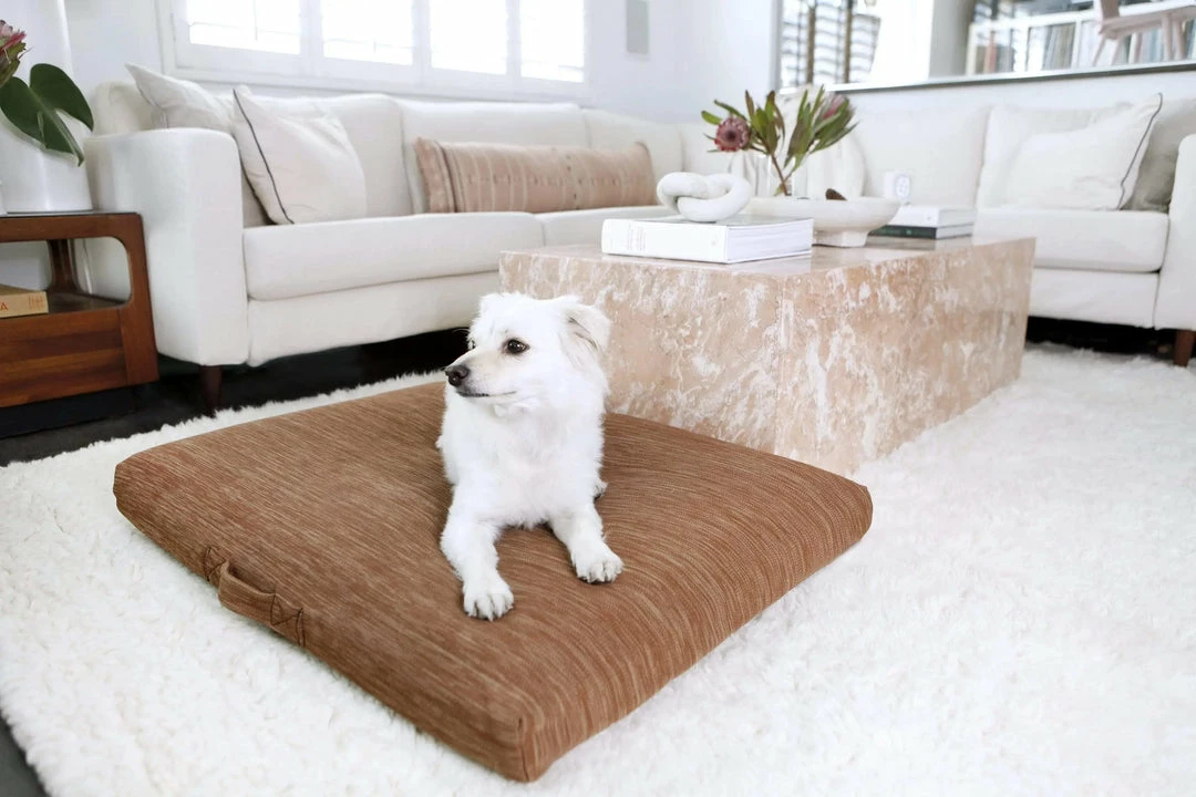 Top 10 ✨ LAY LO Modern Terra 🦮 Dog Bed Or Bed Cover Live ⭐ 5 LAY LO Modern Terra Dog Bed Or Bed Cover Live