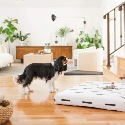LAY LO White Rain Boho Dog Bed Or Bed Cover