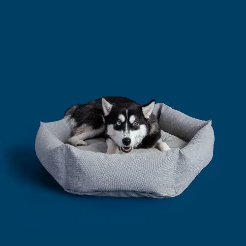 Hot Sale ๐ Velvet Hippo Live Canvas Hex Cushion - Stone ๐ฅ 10 Velvet Hippo Live Canvas Hex Cushion - Stone