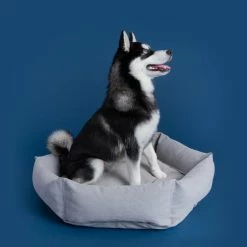 Hot Sale ๐ Velvet Hippo Live Canvas Hex Cushion - Stone ๐ฅ 22 Velvet Hippo Live Canvas Hex Cushion - Stone