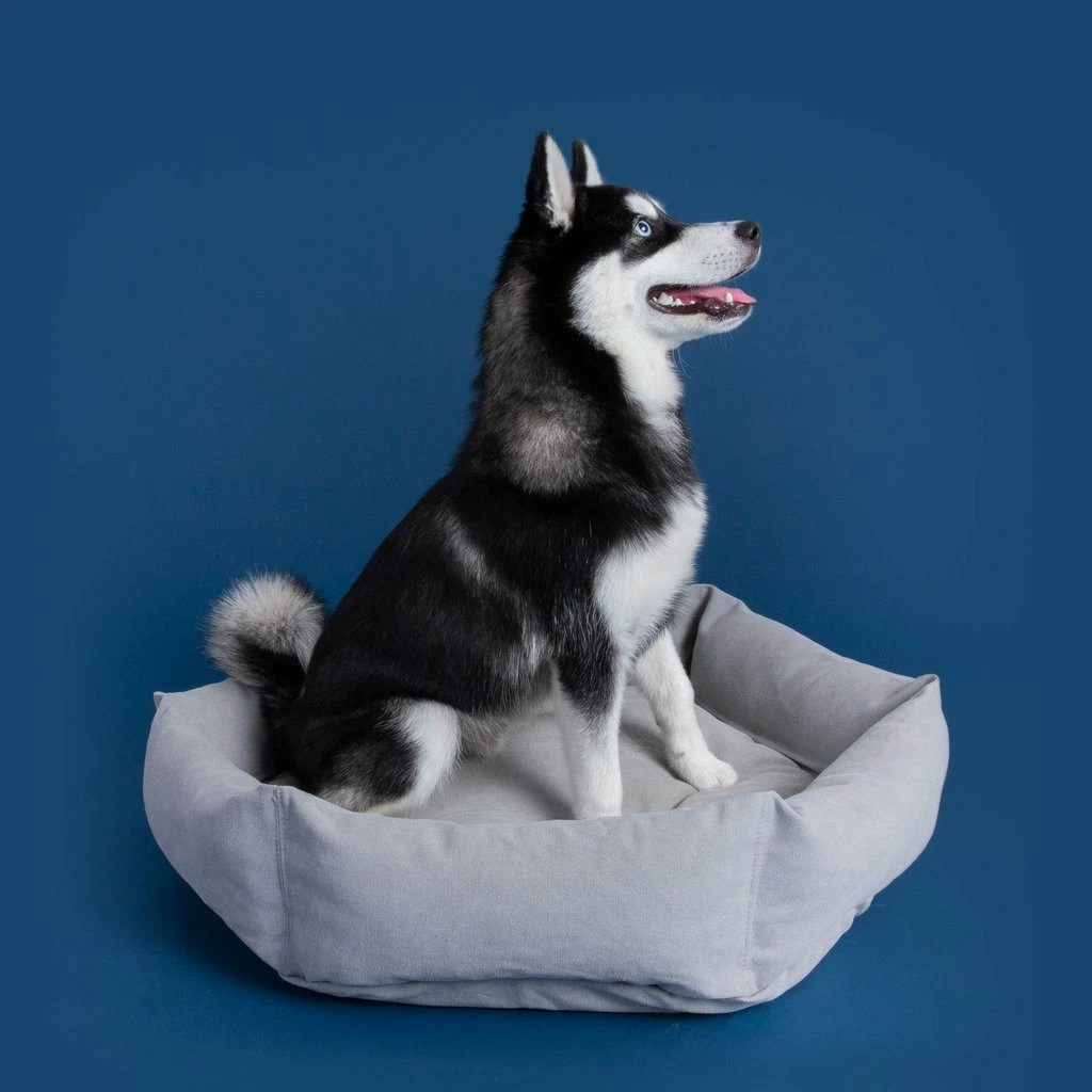 Hot Sale ๐ Velvet Hippo Live Canvas Hex Cushion - Stone ๐ฅ 12 Velvet Hippo Live Canvas Hex Cushion - Stone