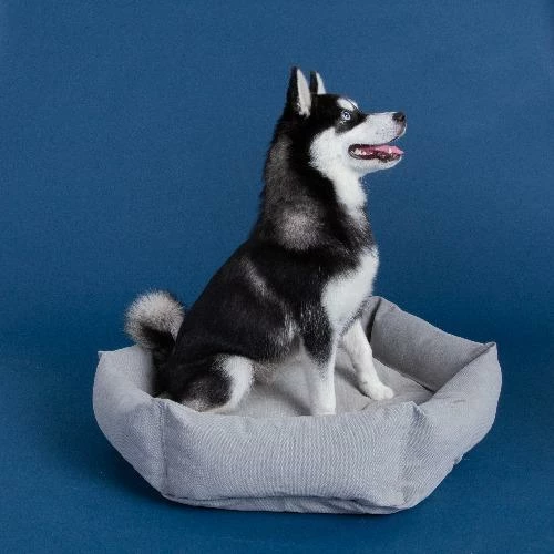 Hot Sale ๐ Velvet Hippo Live Canvas Hex Cushion - Stone ๐ฅ 9 Velvet Hippo Live Canvas Hex Cushion - Stone