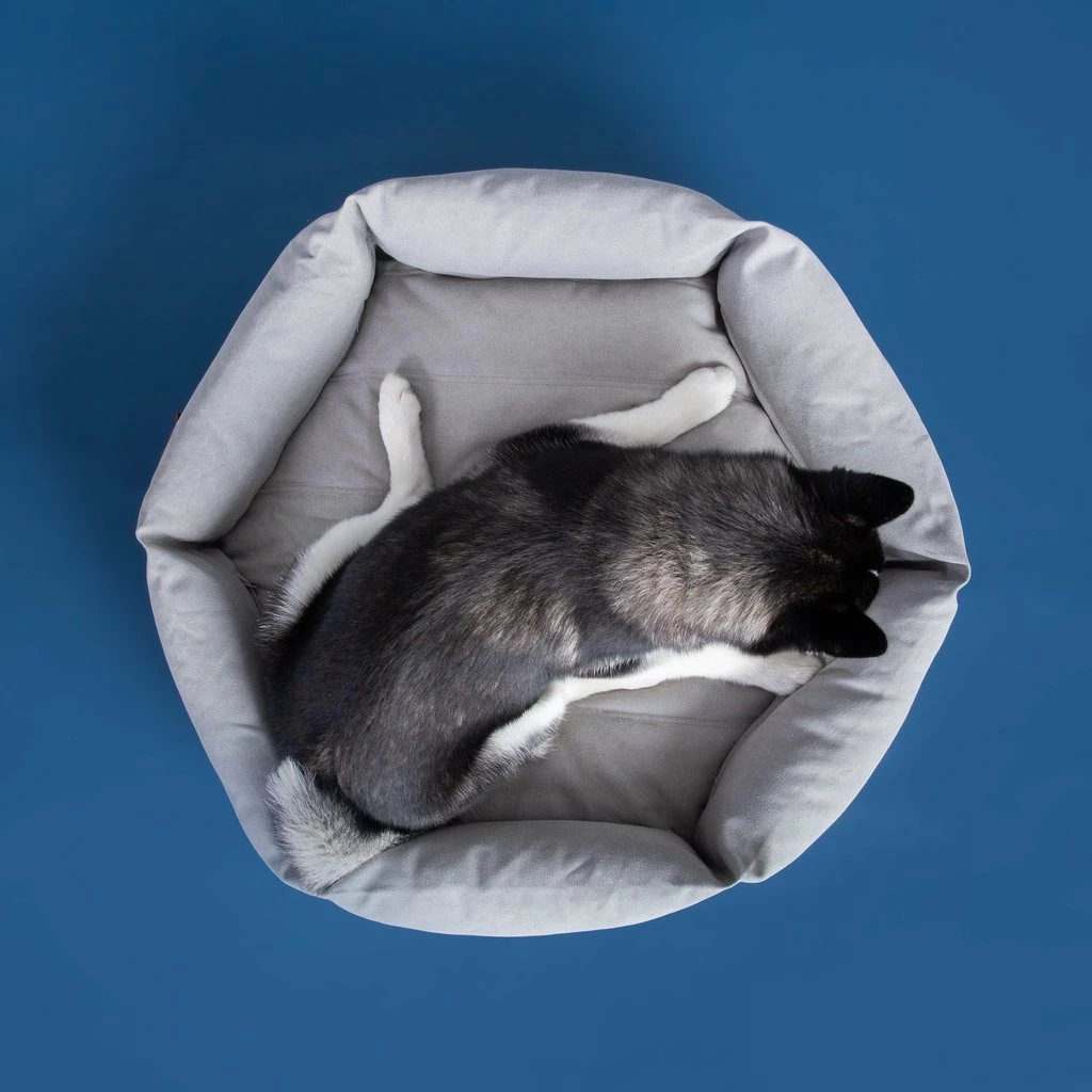 Hot Sale ๐ Velvet Hippo Live Canvas Hex Cushion - Stone ๐ฅ 13 Velvet Hippo Live Canvas Hex Cushion - Stone